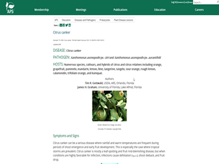 Citrus Canker