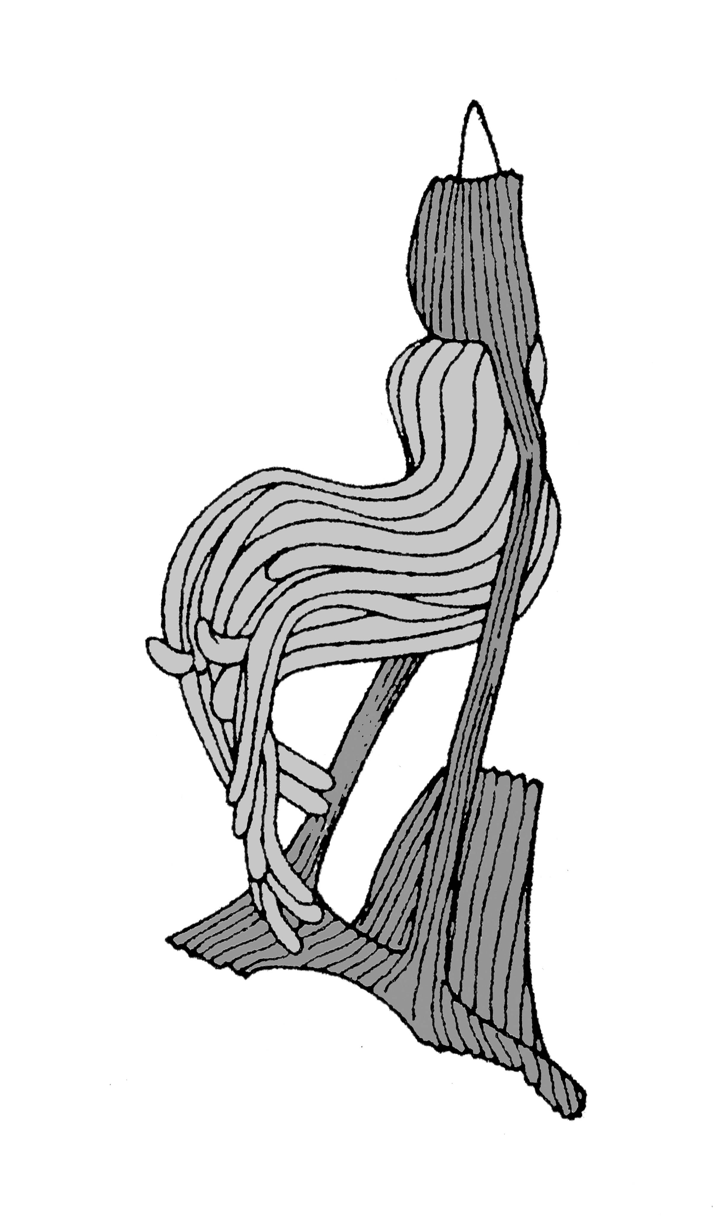             Veronicella sloanei:  genitalia-penial gland .  (Photo: © T.W.   Thome, modified by K. Weigel, University of Florida)   