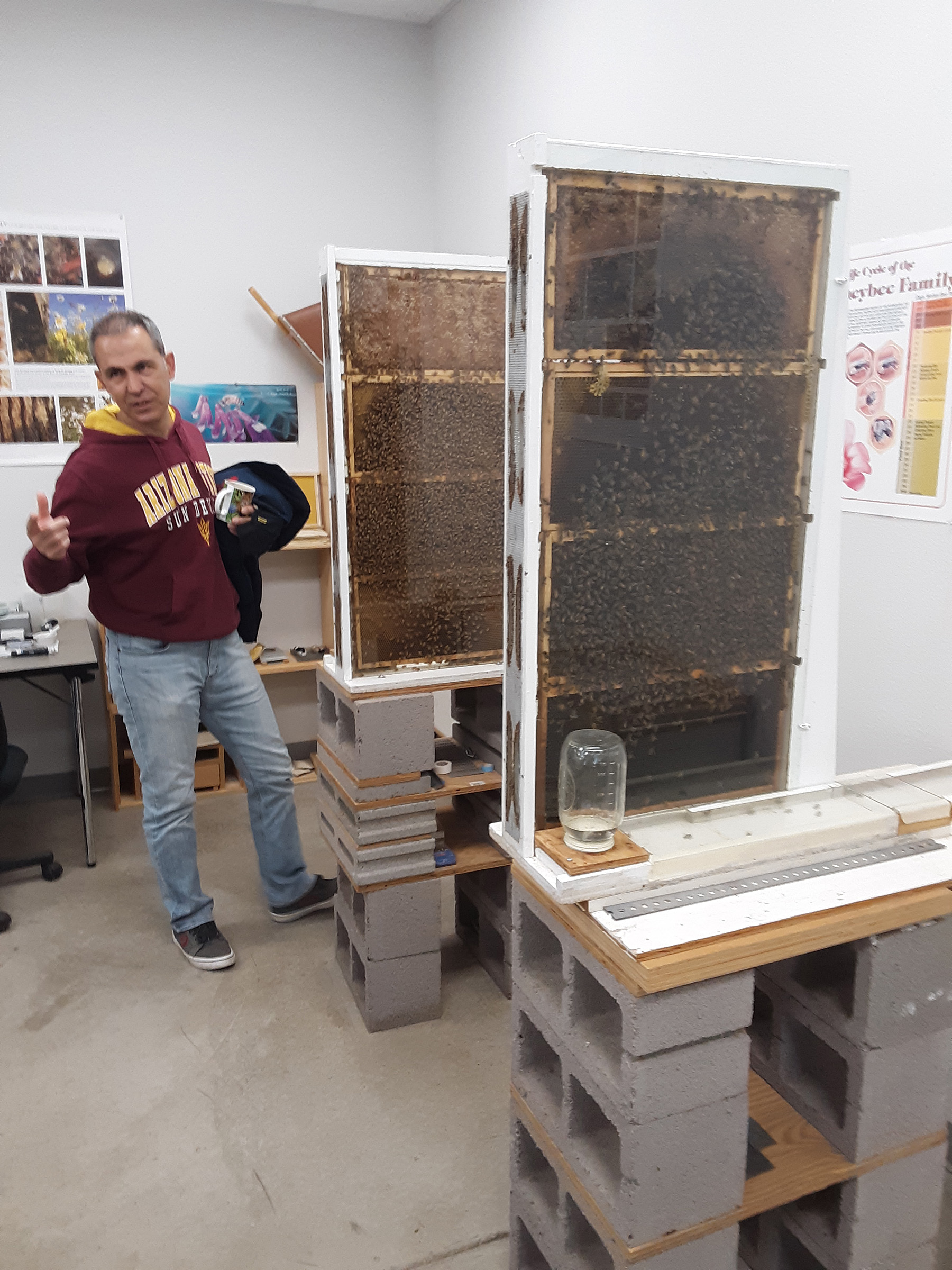 Four frame observation bee hives; photo by Dewey M. Caron