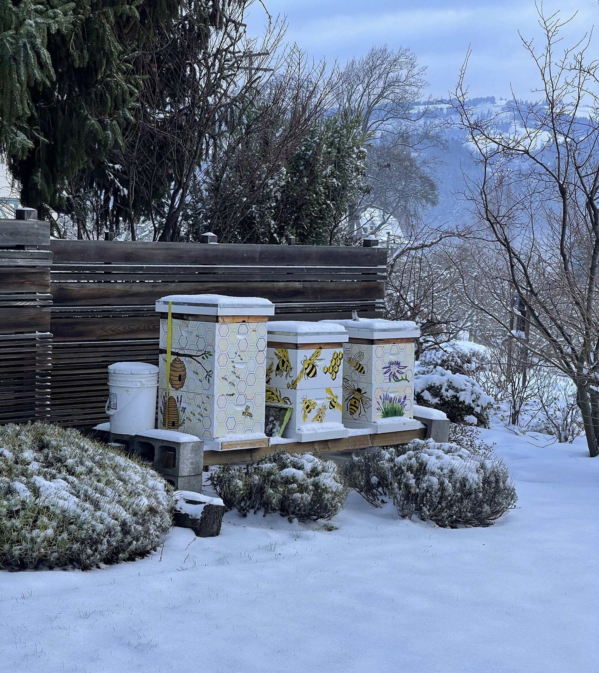 Apiary in winter; photo by Dewey M. Caron