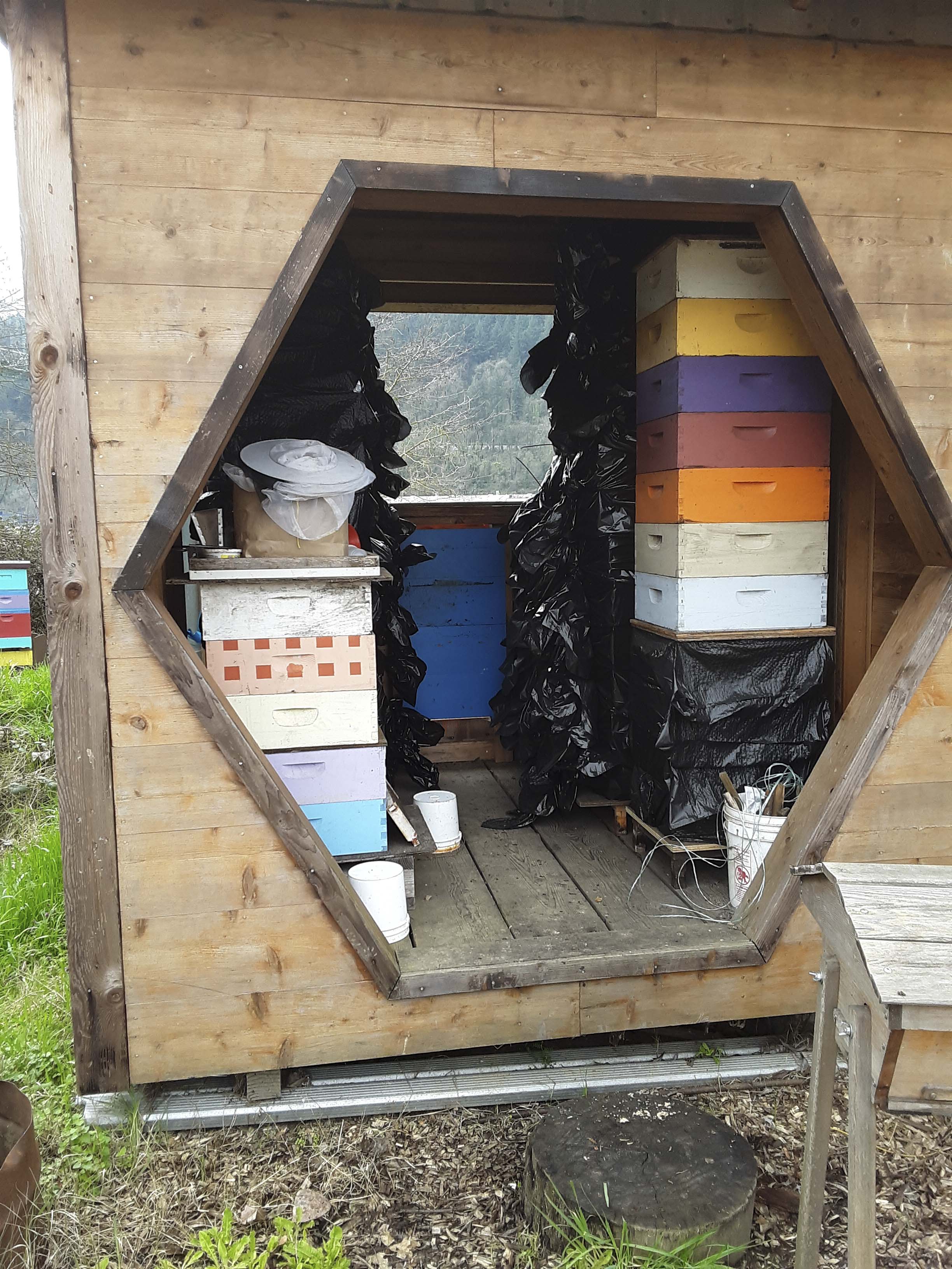 Off season comb storage - brood combs in plastic bags following day to week in freezer; photo by Dewey M. Caron