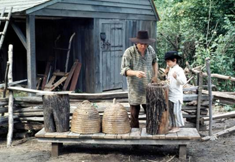 Two skeps and two gums; photo by Dewey M. Caron